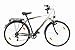 Texo Trekking Fahrrad 28" Herren 21-Gang Shimano Kettenschaltung, gefederte Sattelst¿¿tze