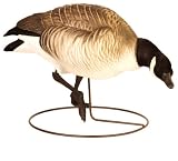 Final Approach Last Pass High Definition Lesser Canada Feeder Field Decoy, 6 Pack