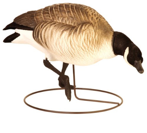 Final Approach Last Pass High Definition Lesser Canada Feeder Field Decoy, 6 Pack