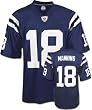 Youth Indianapolis Colts #18 Peyton Manning Team Replica Jersey