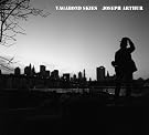 Vagabond Skies