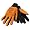 Tennessee Volunteers