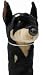Doberman Zoo Animal Headcover