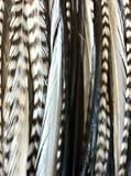 Zebrz Feather Hair Extension 4"-7" in Length with 5 Salon Quality Feathers for Hair Extension with Black & White American Rooster Feathers