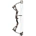 Martin Archery Leopard Compound Bow Right