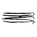 5 Madagascar Vanilla Beans