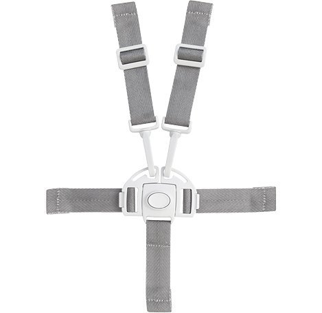 Picture of Cozy Boon Flair Replacement Harness/Buckle B003LNU7Q0 (Baby Harnesses)
