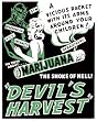 Marijuana "Devil's Harvest" Porcelain Magnet