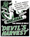 Marijuana