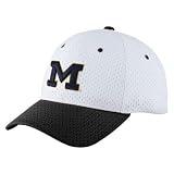 Zephyr Michigan Wolverines White Mesh Glacier Zfit Stretch Hat