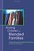 Raising Children in Blended Families: Helpful Insights, Expert Opinions, and True Stories by Maxine Marsolini