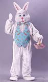 Easter Bunny Costume