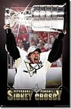 Pittsburgh Penguins (2009 Champions, Sidney Crosby) Sports Poster Print - 24
