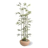 �y�l�H�A���z�|�A�����W 80cm