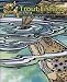 Search : The Outdoor Youth Adventures Trout Fishing Activity and Coloring Book