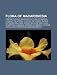 Flora of Macaronesia: Endemic Flora of Macaronesia, Flora of Madeira, Flora of the Azores, Flora of the Canary Islands, Euphorbia Mellifera