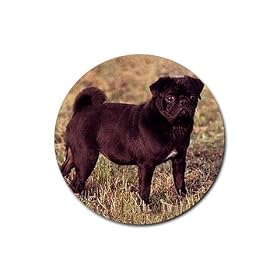 Pug Rubber Round Coaster (4 pack) by Good Guy Watches & Accessories