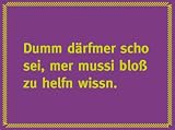 Produkt-Bild: K&uuml;hlschrankmagnet Dumm