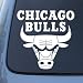 CHICAGO BULLS - Vinyl Decal Sticker #A1339 | Vinyl Color: White