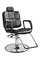 Reclining Shampoo Styling Hydraulic Barber Chair Hair Beauty Salon Equipment Black