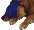 Premier Pet Gentle Leader Calming Cap- Large, Blue Premier Pet Gentle Leader Calming Cap- Large, Blue