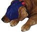 Kitchen & Housewares : Gentle Leader Calming Cap - Large