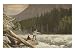 Fly Fishing, Skykomish, Washington Art Poster Print, 18x13