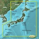 GARMIN VAE001R JAPAN G2 VISION SD