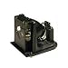 Optoma Replacement Projector Lamp for H77, H78, H78DC3, H79, with Housing