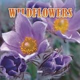 Wildflowers 2008 Mini Wall Calendar