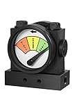 DPP975 Filter Indicator (10psid)