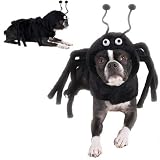 Dog Costume - Spidey Paws Dog Spider Halloween Costume - XS