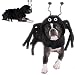 Dog Costume - Spidey Paws Dog Spider Halloween Costume - XS
