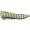 Firetrap Clue Brass