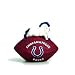Office Products : Indianapolis Colts Desk Paperweight