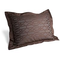 Pinzon Labyrinth Sham