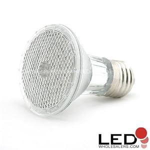 Par20 36 LED 110 V Indoor Outdoor Spot Bulb, blue,1301BU by