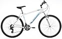 Raleigh Gritstone Men's Mountain Bike
