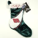 DALE EARNHARDT JR. OFFICIAL LOGO 17" CHRISTMAS STOCKING