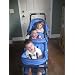 41hShFC1ETL. AA75  Foundations Trio Triple Tandem Stroller, Blue