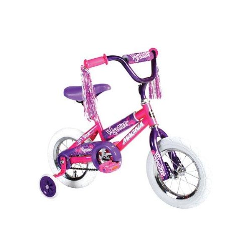 Dynacraft Girl's Magna Lil Dreamer Bike (Pink/Purple, 12-Inch)