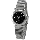 Skagen Women's 107SSSBD Stainless Steel Mesh Watch