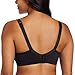 Carnival Women's Seamless