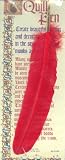 Review Manuscript  / Authentic quill dip pen - steel nib - Chronicle - Red