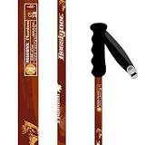 2009 Rossignol Phantom 5000 50 in Ski Poles NEW 41hTN5SpHZL. SL160 2009 Rossignol Phantom 5000 50 in Ski Poles NEW