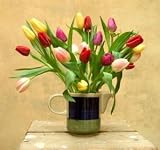 Send Fresh Cut Flowers - 30 Assorted Tulips