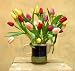 Send Fresh Cut Flowers - 30 Assorted Tulips