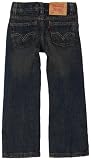 Levi’s Boys 2-7 Relaxed Straight Slim Fit Jean Reviews