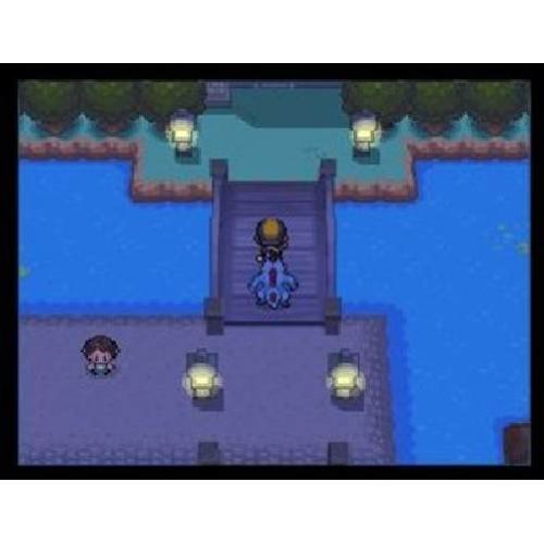 Pokémon - Das offizielle HeartGold und SoulSilver Kanto-Lösungsbuch und der nationale Pokédex