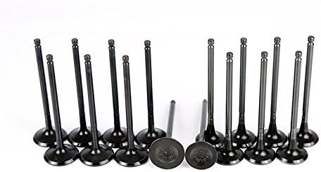 Dokuro 05-12 Mitsubishi Galant Lancer Outlander Eclipse 2.4 SOHC 4G69 Intake Exhaust Valves Set